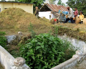 অনাদরে পড়ে থাকা বহলার গণকবর